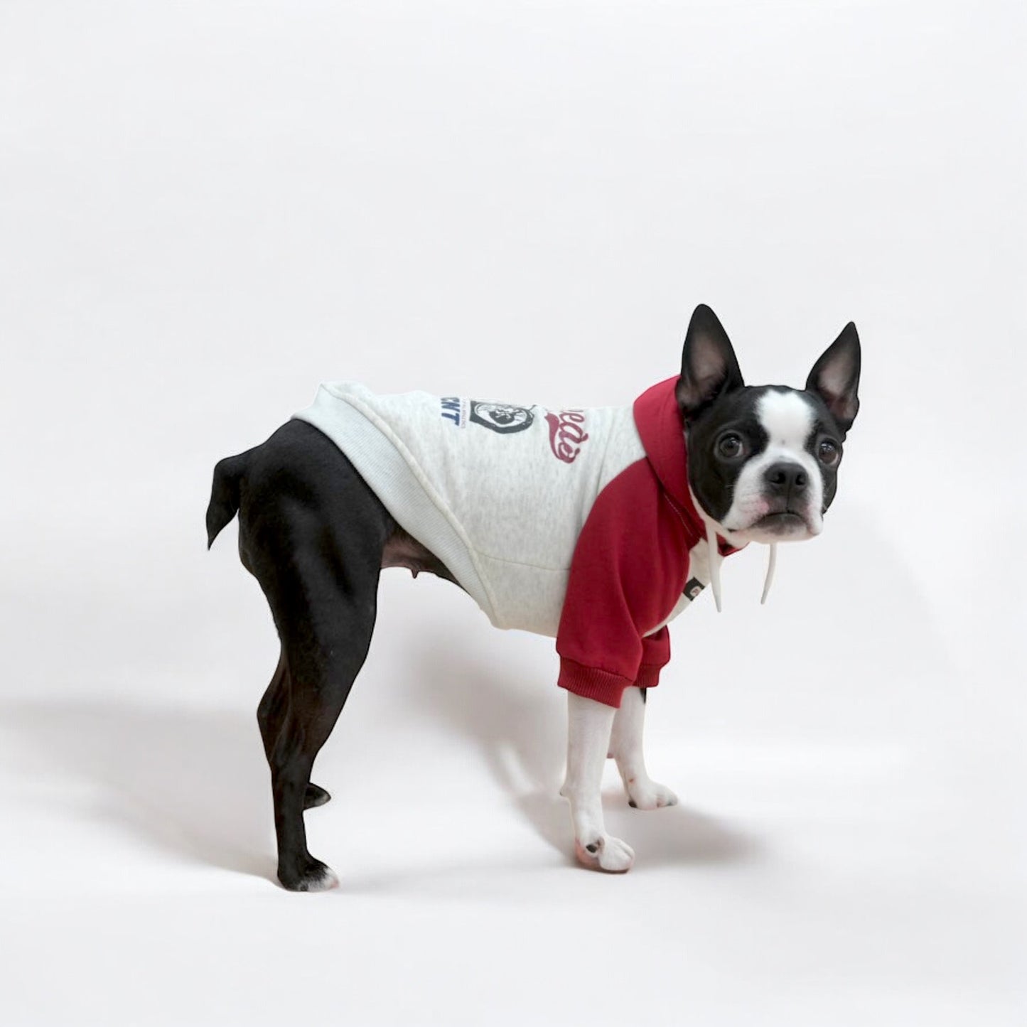 【愛犬用(単品)】バイクパーカー