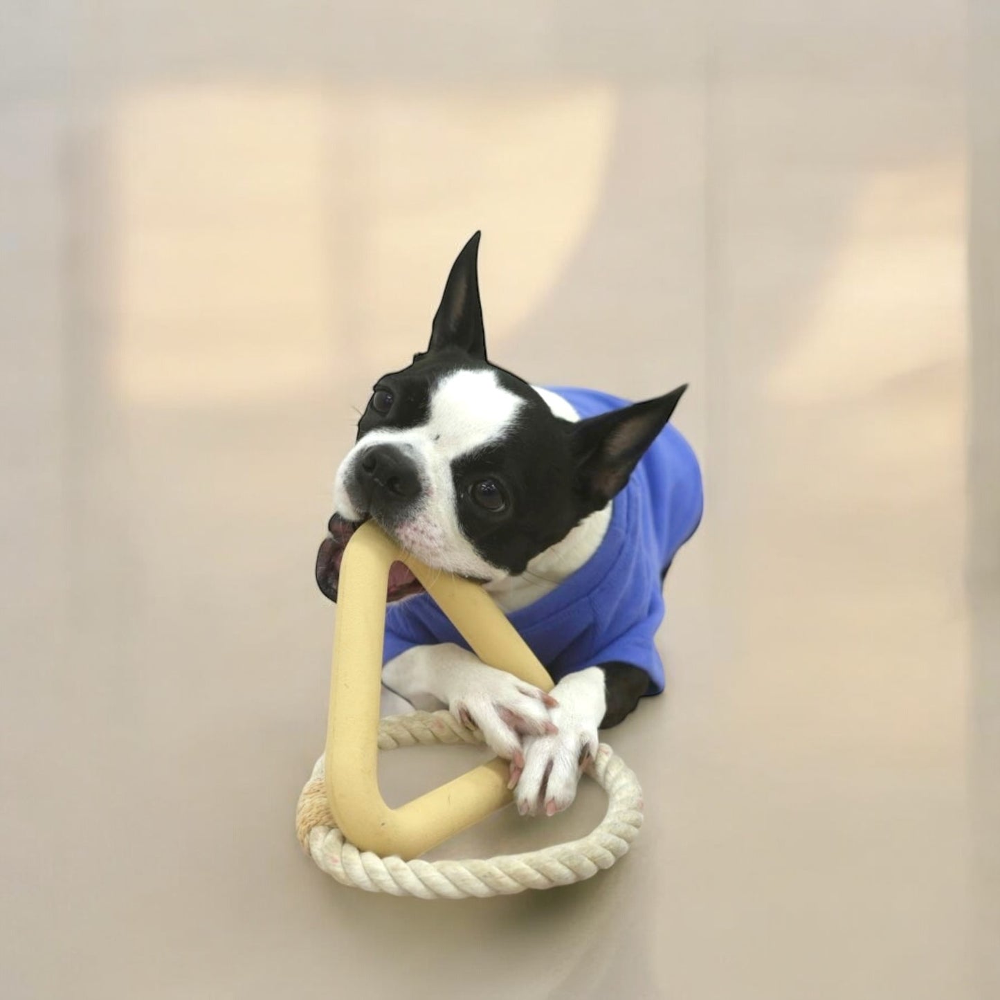 トライアングルおもちゃ